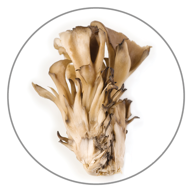 image of maitake mushroom