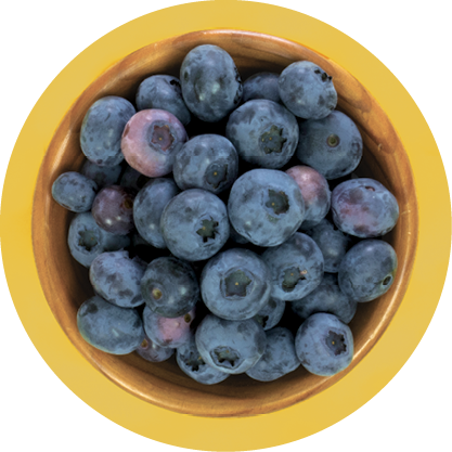 blueberries