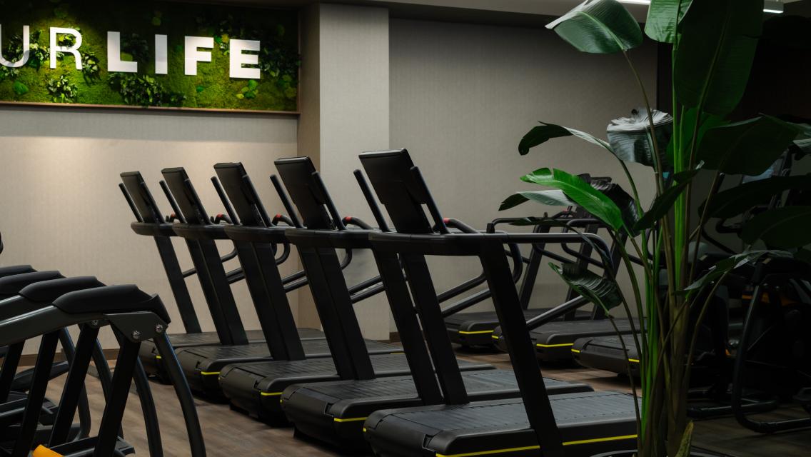 treadmills on the workout floor