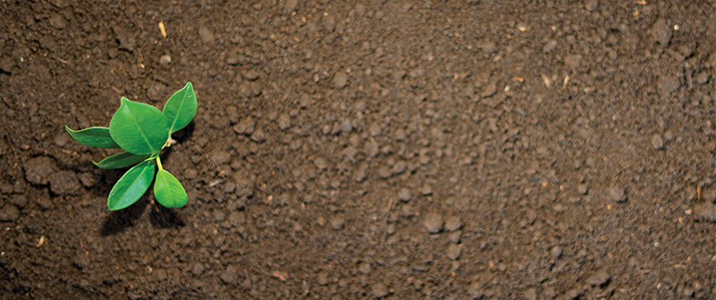 earth