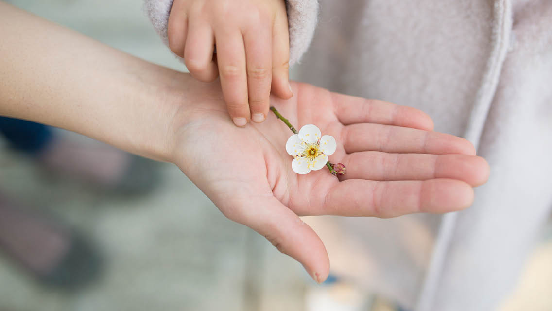 a small child places a flower in an adult's hand
