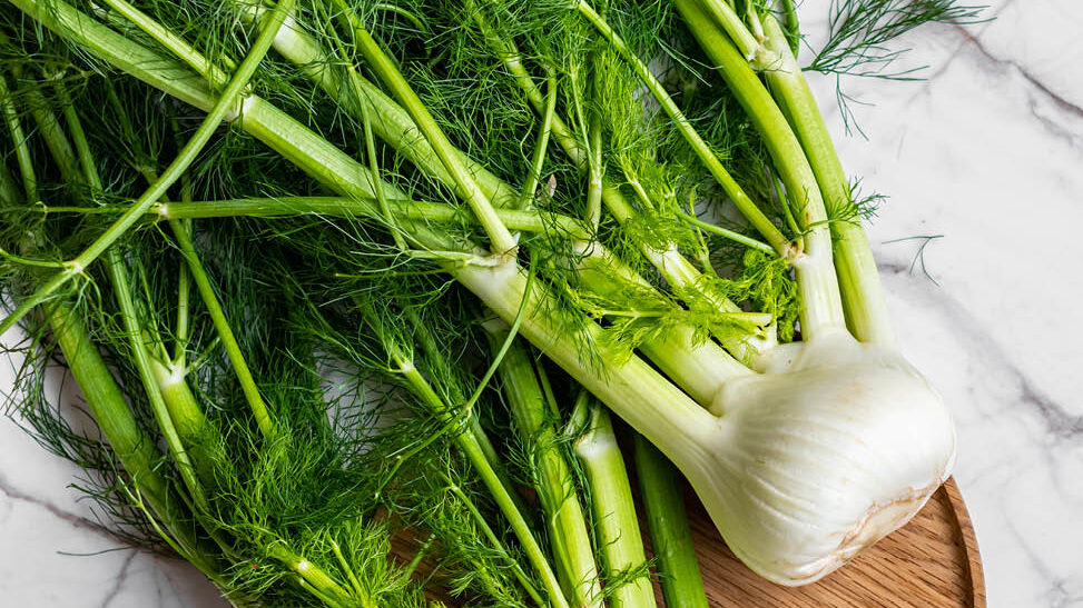 fennel