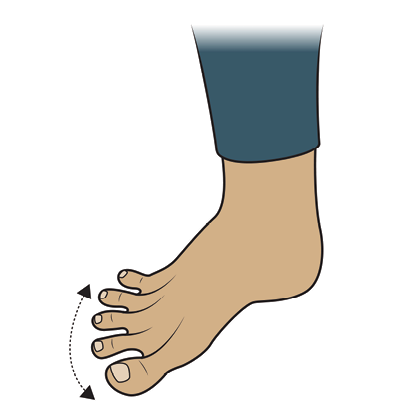 illustration toe spread