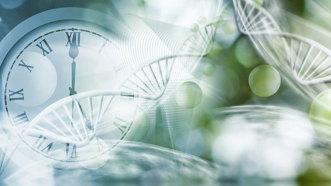 illustration clock and DNA