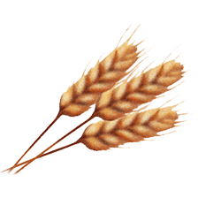 grains