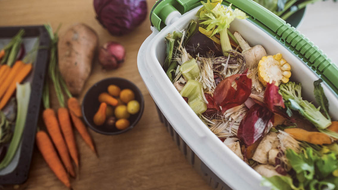 a full compost bin sits on a kitchen counter