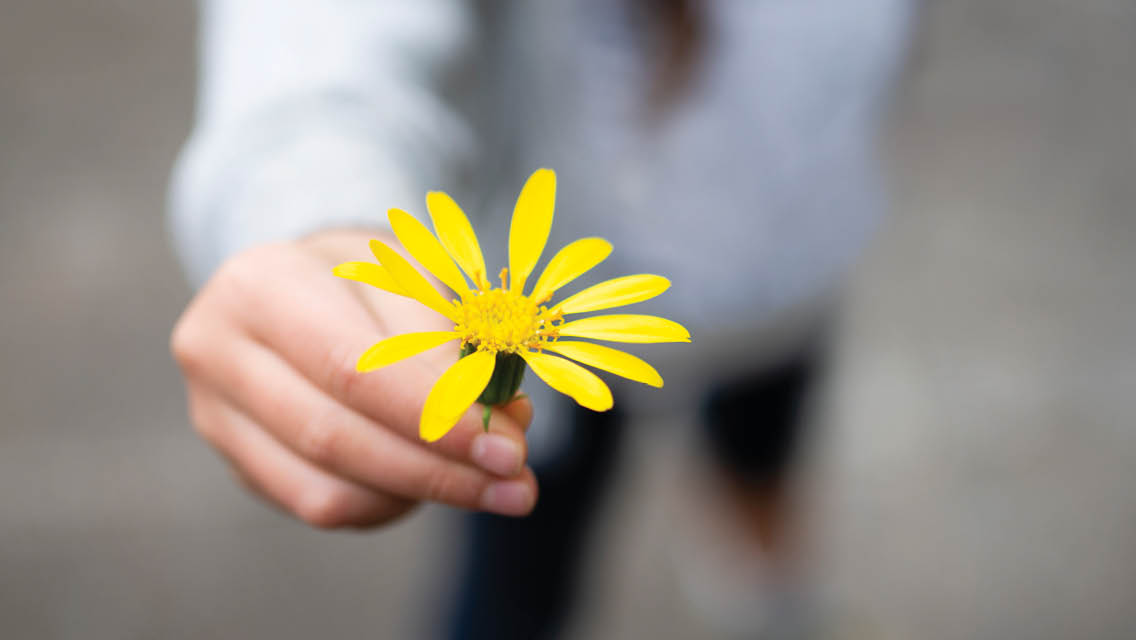 a woman holds out a small yellow daisy