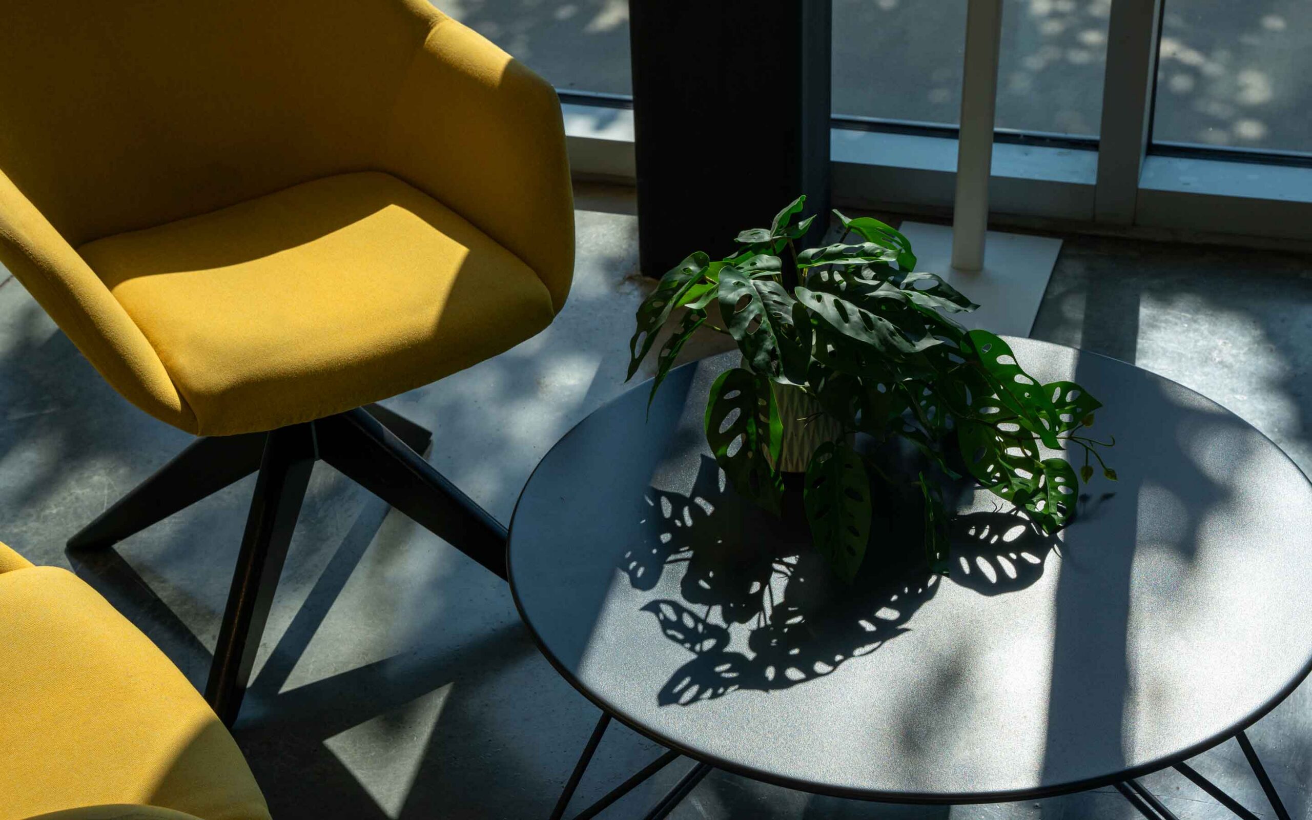 a therapists office