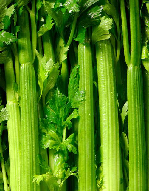 t226-hydrating-foods-celery celery