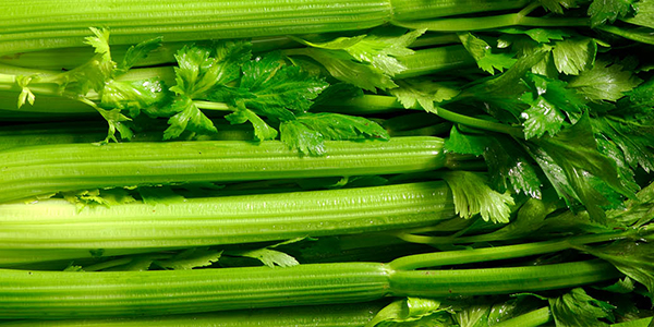 t226-hydrating-foods-mobile-celery celery