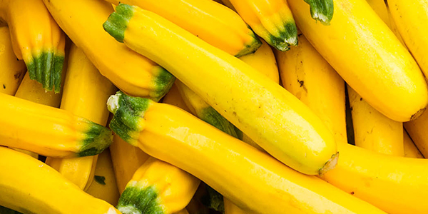 summer squash