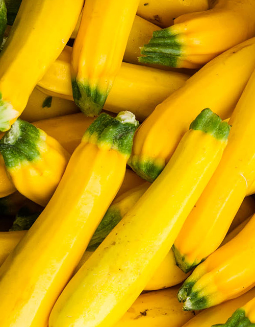 summer squash