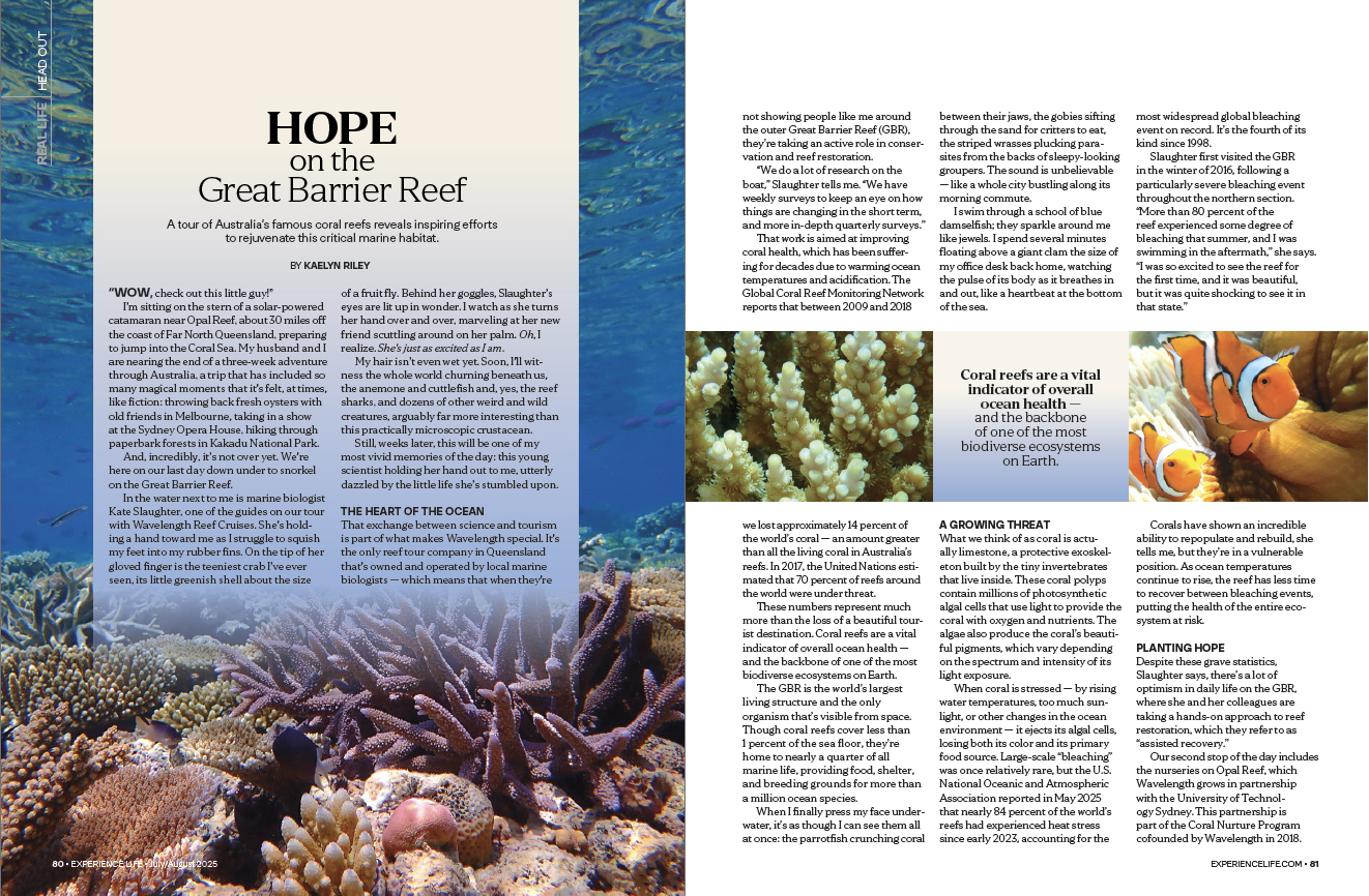 Screenshot Hope on the Great Barrier Reef