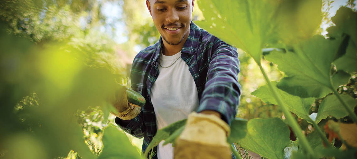 a man gardening