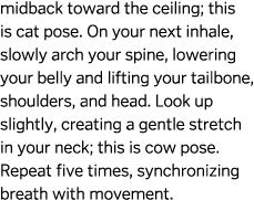 midback toward the ceiling; this is cat pose. On your next inhale, slowly arch your spine, lowering your belly and li...