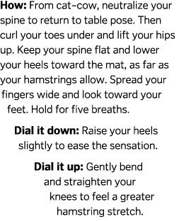 How: From cat–cow, neutralize your spine to return to table pose. Then curl your toes under and lift your hips up. Ke...