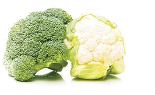 broccoli and cauliflower on white  see more similar images: [url=search/portfolio/248175/?facets={%2235%22:%5B%22food%22,%22OR%20eating%22,%22OR%20milk%22,%22OR%20drink%22,%22OR%20coffee%22,%22OR%20juice%22%5D,%229%22:0,%2230%22:%22100%22}][img]http://www.photonullplus.de/misc/istock/istock-thumb-food.jpg[/img][/url]  [url=file_closeup.php?id=19668778][img]file_thumbview_approve.php?size=1&id=19668778[/img][/url] [url=file_closeup.php?id=19668763][img]file_thumbview_approve.php?size=1&id=19668763[/img][/url] [url=file_closeup.php?id=19668749][img]file_thumbview_approve.php?size=1&id=19668749[/img][/url] [url=file_closeup.php?id=19668735][img]file_thumbview_approve.php?size=1&id=19668735[/img][/url] [url=file_closeup.php?id=19668717][img]file_thumbview_approve.php?size=1&id=19668717[/img][/url] [url=file_closeup.php?id=19668674][img]file_thumbview_approve.php?size=1&id=19668674[/img][/url] [url=file_closeup.php?id=19668462][img]file_thumbview_approve.php?size=1&id=19668462[/img][/url] [url=file_closeup.php?id=19668447][img]file_thumbview_approve.php?size=1&id=19668447[/img][/url] [url=file_closeup.php?id=19668438][img]file_thumbview_approve.php?size=1&id=19668438[/img][/url]
