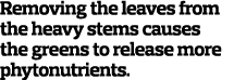 Removing the leaves from the heavy stems causes the greens to release more phytonutrients.