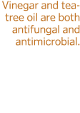 Vinegar and tea- tree oil are both antifungal and antimicrobial  