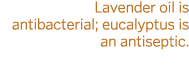 Lavender oil is antibacterial  eucalyptus is an antiseptic 