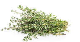 Fresh garden herbs set  Isolated on white background