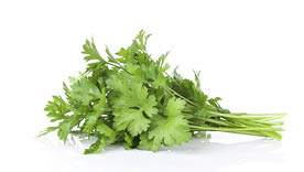 Fresh garden herbs set  Isolated on white background