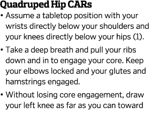 Quadruped Hip CARs    Assume a tabletop position with your wrists directly below your shoulders and your knees direct   