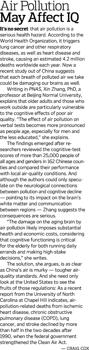 Air Pollution May Affect IQ It s no secret that air pollution is a serious health hazard  According to the World Heal   