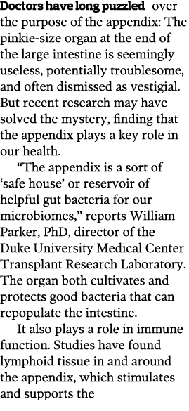 Doctors have long puzzled over the purpose of the appendix  The pinkie-size organ at the end of the large intestine i   