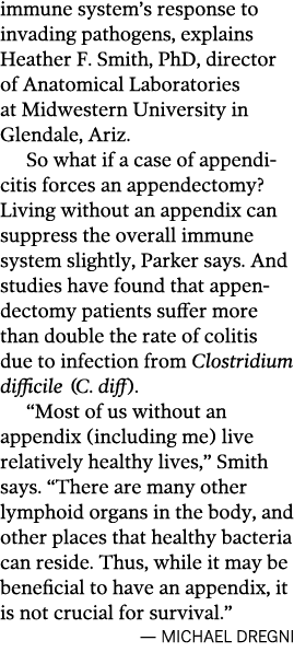 immune system s response to invading pathogens  explains Heather F  Smith  PhD  director of Anatomical Laboratories a   