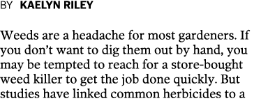 By KAELYN RILEY Weeds are a headache for most gardeners  If you don t want to dig them out by hand  you may be tempte   