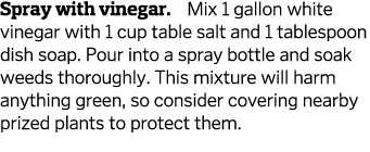 Spray with vinegar  Mix 1 gallon white vinegar with 1 cup table salt and 1 tablespoon dish soap  Pour into a spray bo   