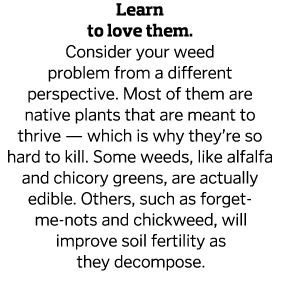 Learn to love them  Consider your weed problem from a different perspective  Most of them are native plants that are    