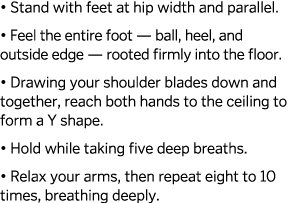   Stand with feet at hip width and parallel    Feel the entire foot — ball  heel  and outside edge — rooted firmly in   