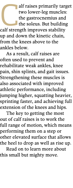 Calf raises primarily target two lower-leg muscles  the gastrocnemius and the soleus  But building calf strength impr   