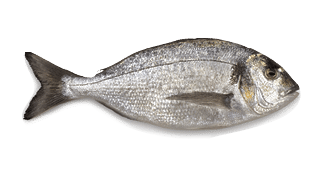 http   www istockphoto com file_thumbview 22854757 