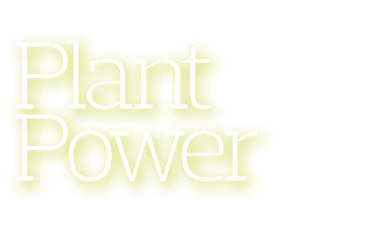 Plant Power