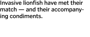 Invasive lionfish have met their match — and their accompanying condiments 