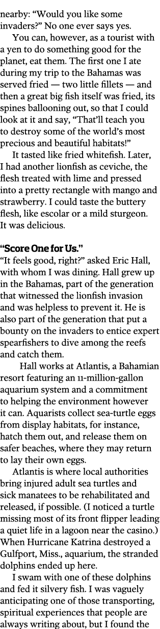 nearby   Would you like some invaders   No one ever says yes   You can  however  as a tourist with a yen to do someth   