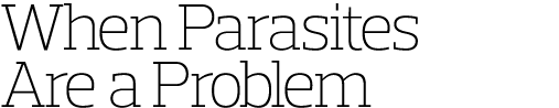 When Parasites Are a Problem