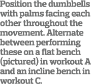 Position the dumbbells with palms facing each other throughout the movement  Alternate between performing these on a    