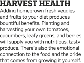 Harvest Health Adding homegrown fresh veggies and fruits to your diet produces bountiful benefits  Planting and harve   