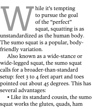 While it s tempting to pursue the goal of the  perfect  squat, squatting is as unstandardized as the human body  The    