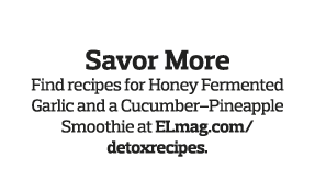  Savor More Find recipes for Honey Fermented Garlic and a Cucumber Pineapple Smoothie at ELmag com detoxrecipes  