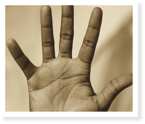 600-032919   Bryan Reinhart M R Palm of Hand