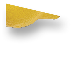 Fall concept  October 2019 Paper Calendar with round slices of pumpkin