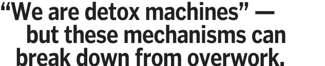  We are detox machines  —    but these mechanisms can   break down from overwork 
