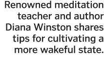 Renowned meditation teacher and author Diana Winston shares tips for cultivating a more wakeful state  