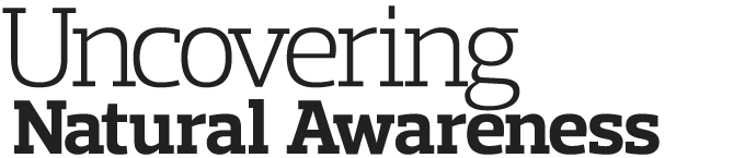 Uncovering Natural Awareness