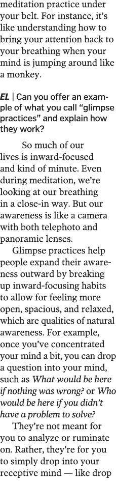 meditation practice under your belt  For instance, it s like understanding how to bring your attention back to your b   